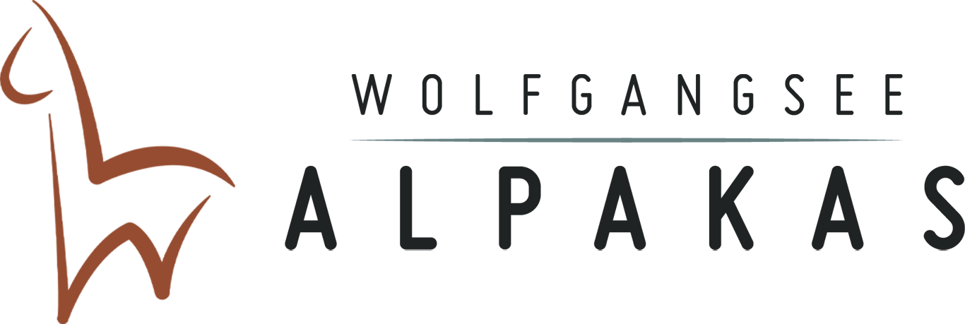 Wolfgangsee Alpaka